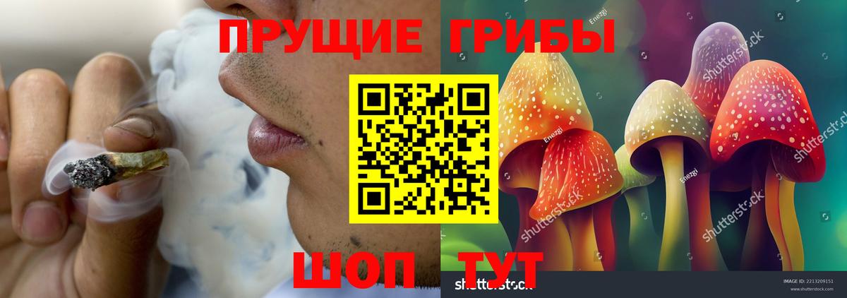 Псилоцибиновые грибы Psilocybine cubensis  наркотики  Нягань  Вход с VPN 